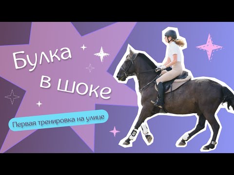 Видео: VLOG 10 | ВЫШЛИ НА УЛИЦУ | ЧТО НЕНАВИДЯТ ЧАСТНИКИ | КАБАРДИНСКИЕ АВИАЛИНИИ