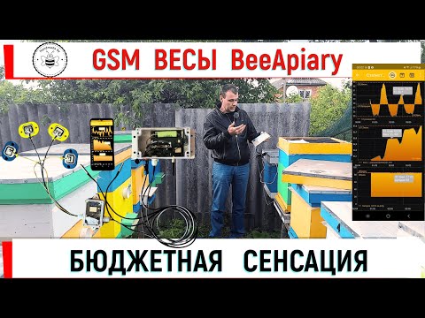 Видео: GSM весы BeeApiary. Бюджетная сенсация! Ваги GSM пасічні. @beeApiary