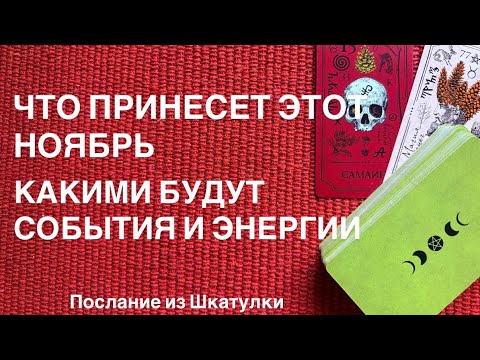Видео: 🌻 ЧТО ПРИНЕСЕТ С СОБОЙ НОЯБРЬ | ТАРО ПОСЛАНИЕ #шкатулка#таро#таросила#магияжизни#tarot 