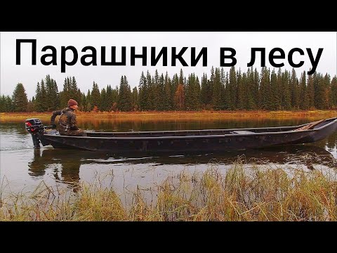 Видео: КАКОЙ-ТО УРОД ПОГАНИТ ЛЕС!!! ОХОТА С МЕЛКАШКОЙ НА РЯБЧИКА / С МАНКОМ НА КАРМАННОГО ГЛУХАРЯ 2022.