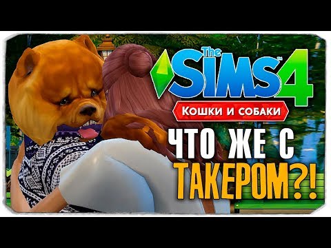 Видео: ЧТО СЛУЧИЛОСЬ С ТАКЕРОМ?! - The Sims 4 "Кошки и Собаки" ▮