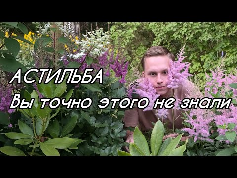 Видео: Секреты АСТИЛЬБЫ. Две ГЛАВНЫЕ особенности ухода за астильбой!