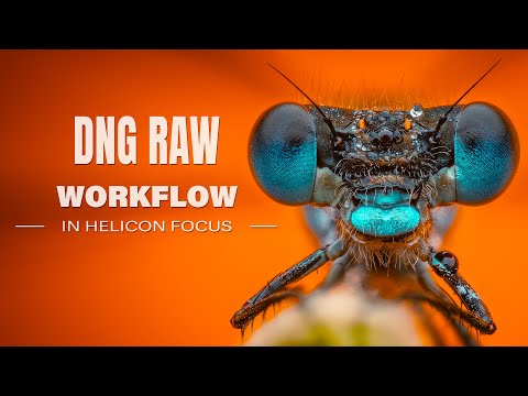 Видео: Рабочий процесс DNG RAW в Helicon Focus