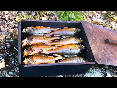 Видео: За окунем на консервы.