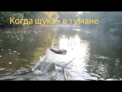 Видео: ЩУКА В ИЮЛЕ ВЫХОДИТ ИЗ СУМРАКА и исчезает с туманом. Лучшее время для ловли щуки в июле. Сплав.