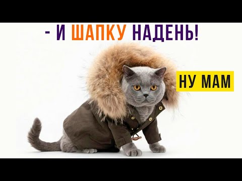 Видео: ЗАТО ТЕПЛО))) Приколы | Мемозг 919