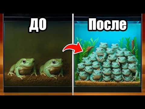 Видео: Создаю ИДЕАЛЬНУЮ квакшу: за 450 ДНЕЙ дома