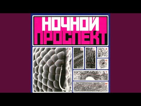 Видео: Мне не нужна информация