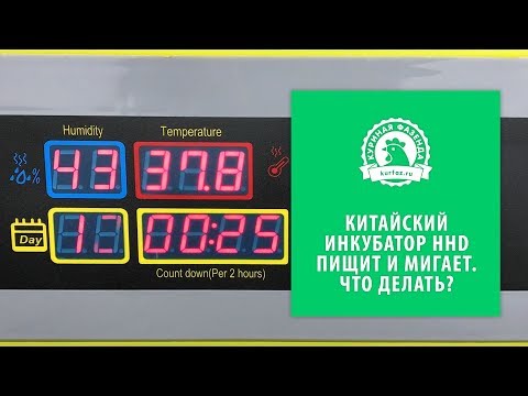 Видео: Китайский инкубатор пищит и мигает. Что делать? Инкубатор HHD на 48 яиц. Инкубация куриных яиц.