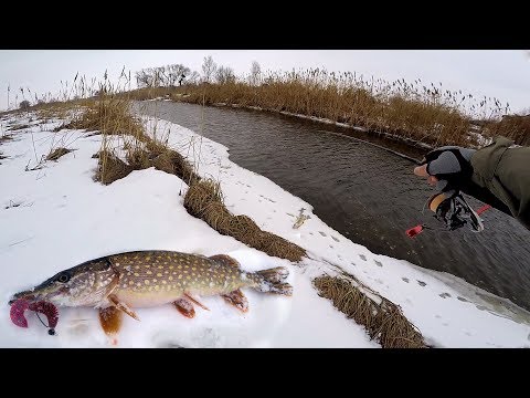 Видео: ВОДЫ НЕТ, А ЩУКИ ТЬМА! Рыбалка на щуку 2019! Ловля щуки на спиннинг на малой реке зимой