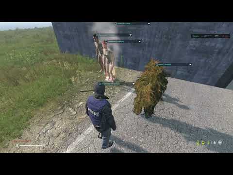 Видео: DAYZ Admin Развлекает Игроков + Наказание Читера #12