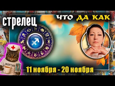Видео: Стрелец | Прогноз с 11 по 20 ноября