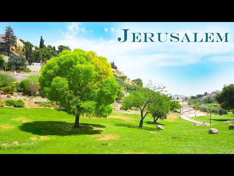 Видео: Музыка для души. Иерусалим. У подножия горы Сион