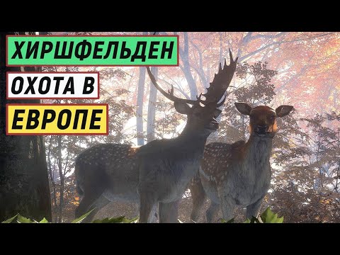 Видео: TheHunter Call of the Wild - ХИРШФЕЛЬДЕН.  Красивые ОЛЕНИ.  Группа ЗУБРОВ.  Миграция и Промахи # 143