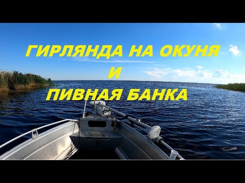 Видео: Гирлянда на окуня с пивной банкой.