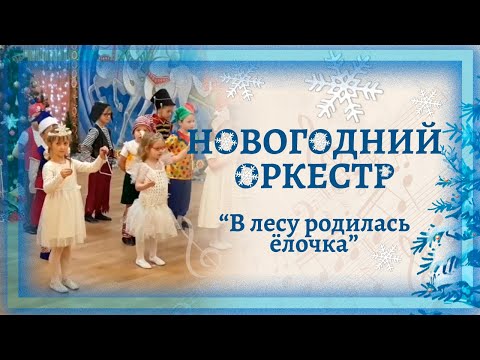 Видео: Новогодний оркестр "В лесу родилась ёлочка" 🎄🎄🎄