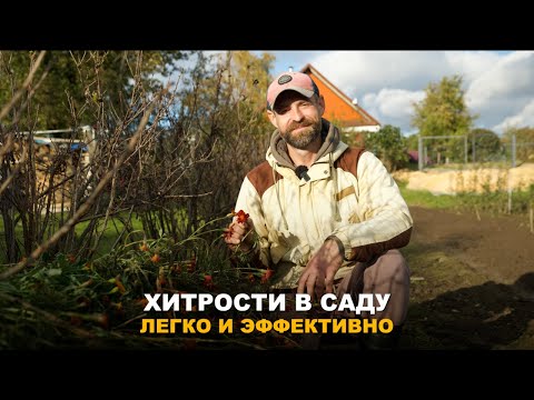 Видео: ПОЛЕЗНЫЕ СОВЕТЫ. Делюсь советами и опытом. Борьба с землеройкой. Черенки винограда.