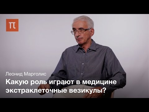 Видео: Экстраклеточные везикулы — Леонид Марголис