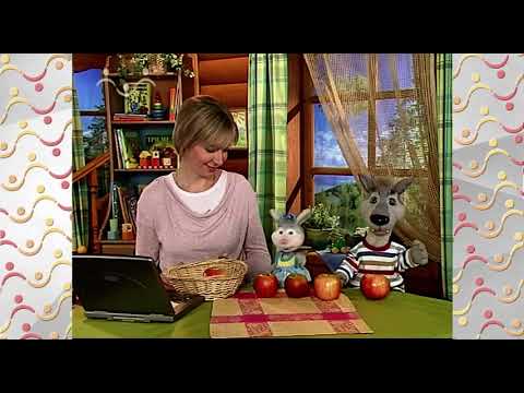 Видео: Шишкин Лес.  Физкультура для ума 08