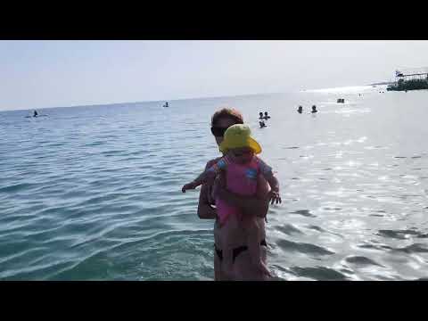 Видео: 4 июля 2024 г.