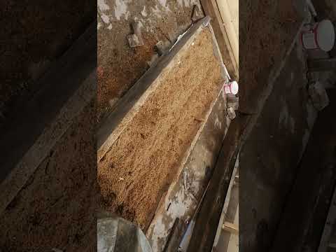 Видео: 7 августа 2025 г.