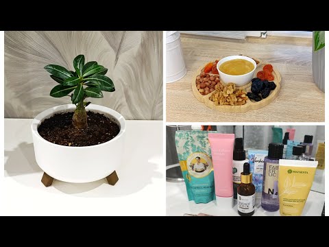 Видео: Пересаживаю цветы 🌸 Витаминная тарелочка🍽 Моя бюджетная уходовая косметика❤
