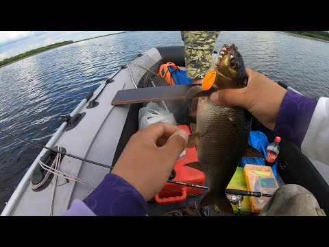 Видео: ЯЗььььь на вертушку!!!! Рыбалка на блесны. Ловля окуня и щуки на вертушки. Ильмень 2022.