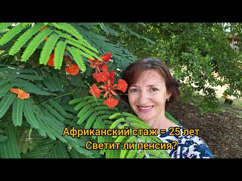 Видео: #66 Африка. Кому положена пенсия в Гане?