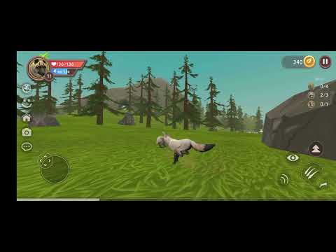 Видео: Игра и голодный волчёнок