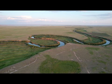 Видео: Пейзажи реки Нура. Июнь