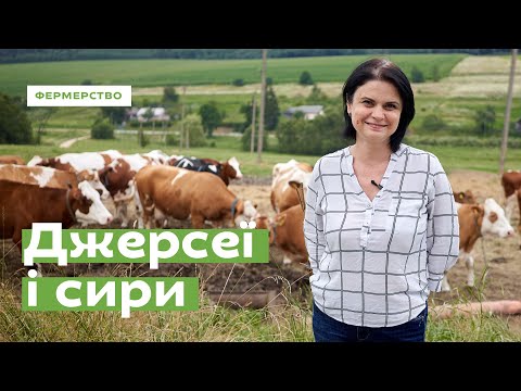 Видео: Джерсеи и сыры • Ukraïner