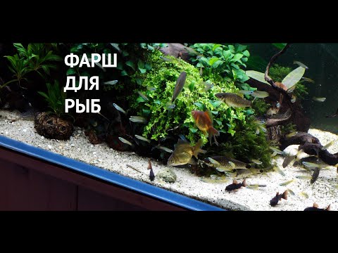 Видео: Фарш для аквариумных рыб на заметку новичкам. Плюсы и минусы