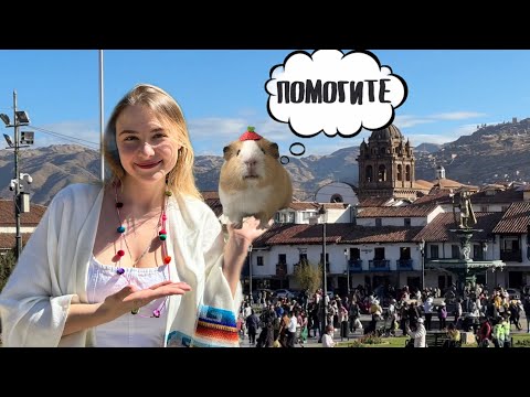 Видео: Пробуем морскую свинку на вкус. Как живут перуанцы.Что посмотреть в Перу.Куско.Перу.