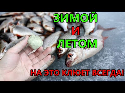 Видео: «Невероятно, но факт: эта наживка привлекает даже неактивную рыбу!