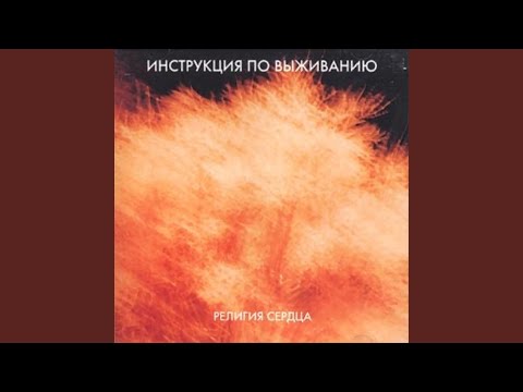 Видео: Стая воронов