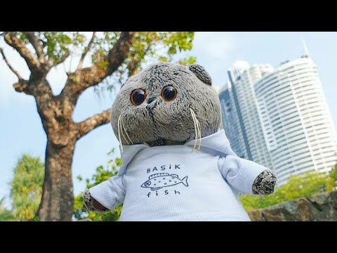 Видео: ВЛОГ С БАСИКОМ! БАСИК В ТАЙЛАНДЕ🏝