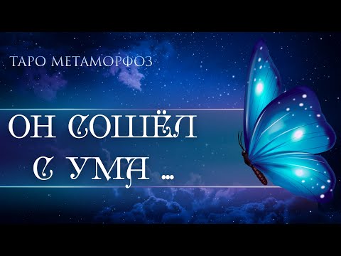 Видео: 🦋Поразительно...Я СТУЧУ В ТВОЮ ДВЕРЬ С НОВОСТЯМИ💫Таро💎