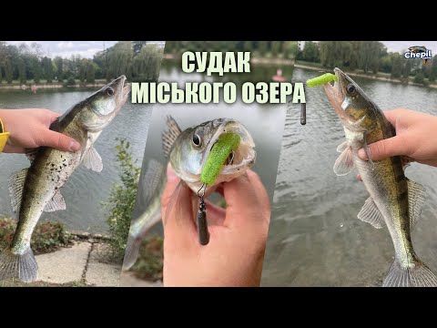 Видео: В ПОШУКАХ СУДАКА НА МІСЬКОМУ ОЗЕРІ ІВАНО-ФРАНКІВСЬКА! Джигова риболовля на судака!