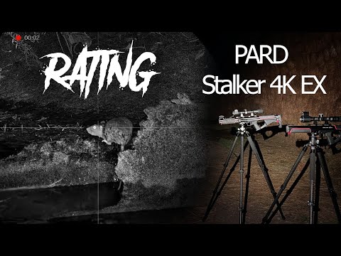 Видео: Rat hunting with Pard NightStalker EX 4K | CLOSE SHOTS | Крысинг
