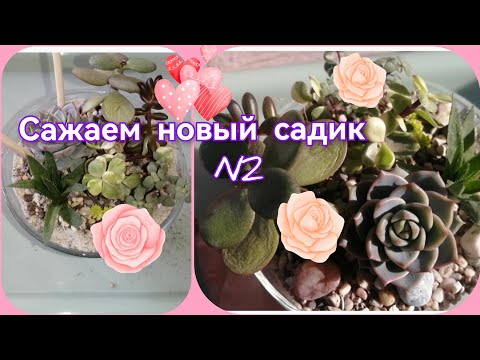 Видео: Сажаем садик N2 ☺️🌸