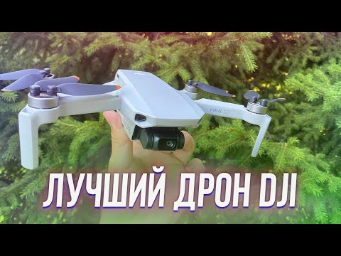 Видео: DJI Mini SE - Лучший бюджетный дрон в 2022 году!