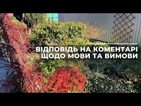 Видео: Відповідь на коментарі щодо мови та вимови