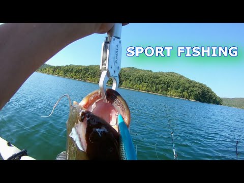Видео: Спортен риболов на сом 2025   Sport Catfishing