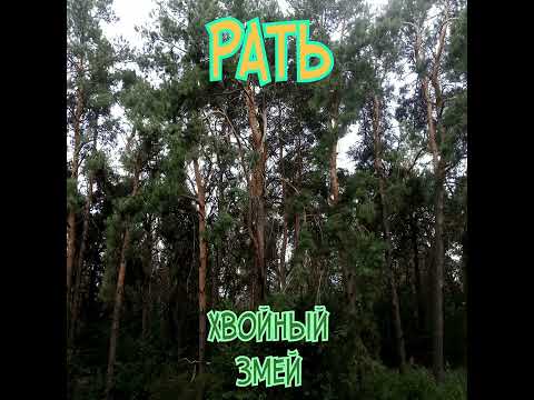 Видео: РаТь