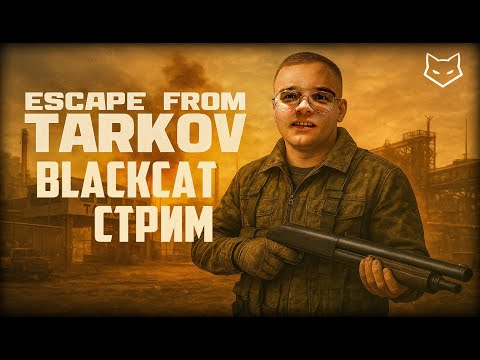 Видео: Escape from Tarkov | Путь бомжа — ПВЕ сезон 💀 Минимум лута, максимум хаоса! | BlackCat STREAM