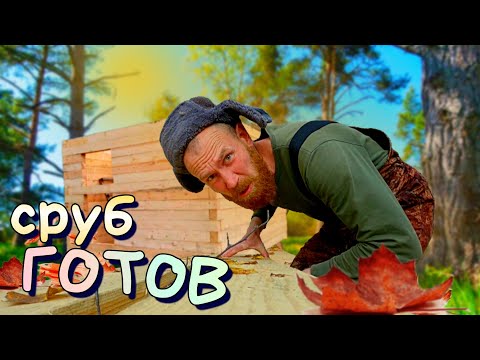 Видео: Тайга мой дом! Строительство Избы и жизнь на природе!