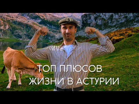 Видео: ЭПИЗОД 15: Мой топ плюсов жизни на Севере Испании, Астурия 2024