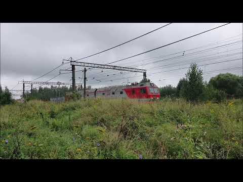 Видео: Полтора часа у ст.Непецино БМО 05-08-25