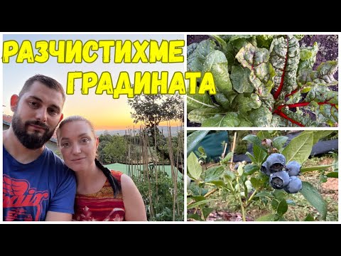 Видео: ЖИВОТ НА СЕЛО: Работа, пот и много любов към градината.🧤🌱 Разчистваме и връщаме свежестта!