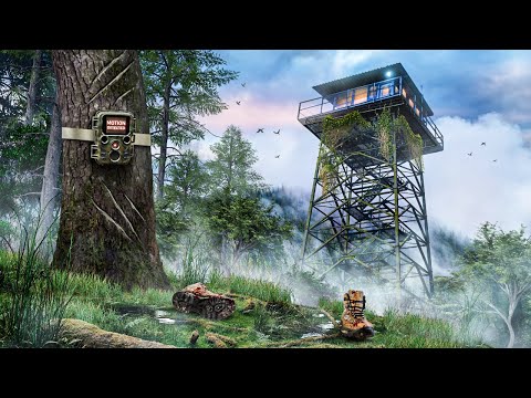 Видео: Что-то УЖАСАЮЩЕЕ происходит в Аппалачских горах...